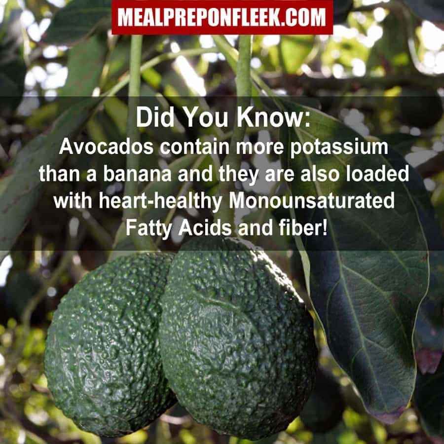 avocado nutrition fact
