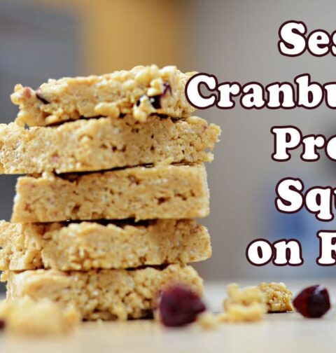 Sesame Cranbutter Protein Squares