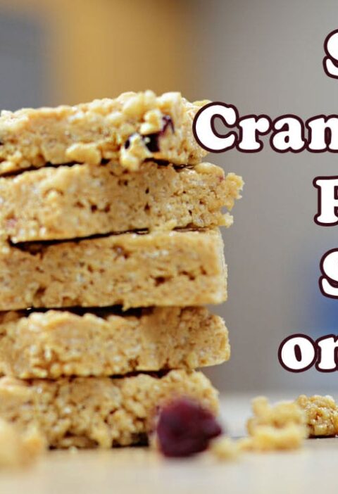 Sesame Cranbutter Protein Squares