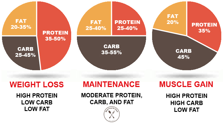 macro calculator for women to lose weight