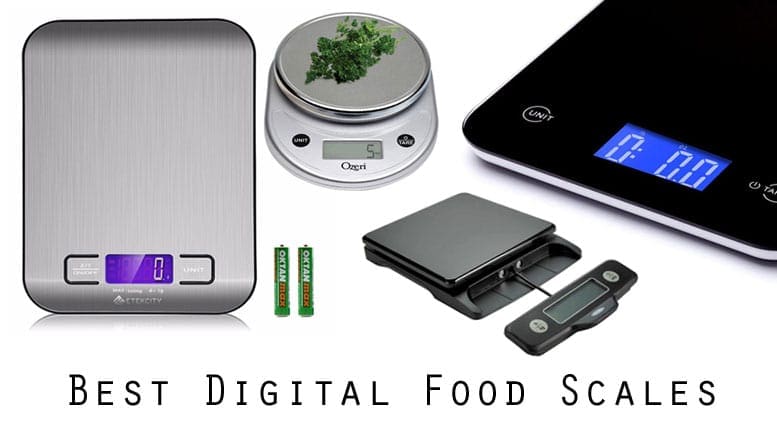 Best Digital Food Scale of 2017