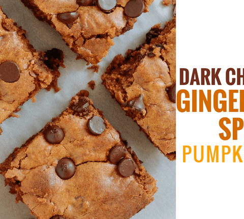 Dark Chocolate Gingerbread Spice Pumpkin Bars