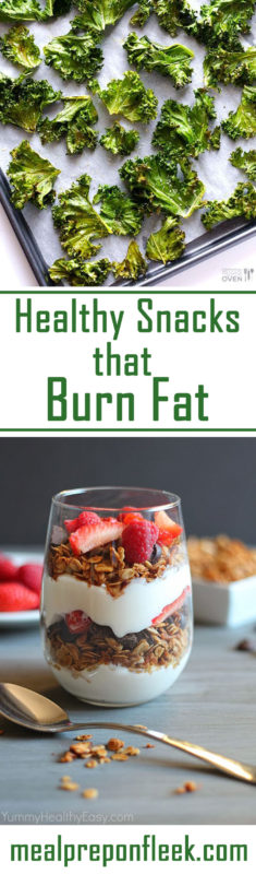 Easy Healthy Snacks that Burn Fat