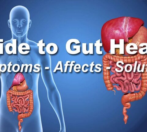 Beginners Guide to Gut Health
