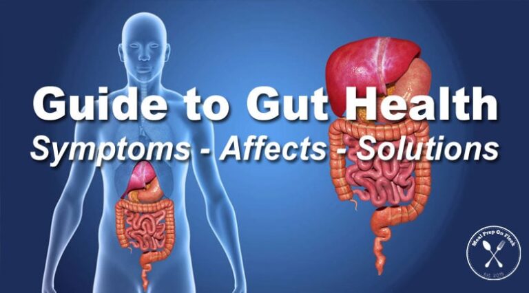 easy-guide-to-gut-health