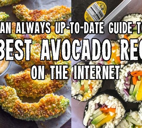 Best Avocado Recipes