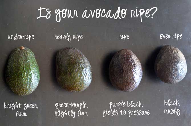 Different stages of Avocado ripeness