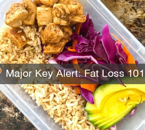 Fat Loss 101 How To Guide
