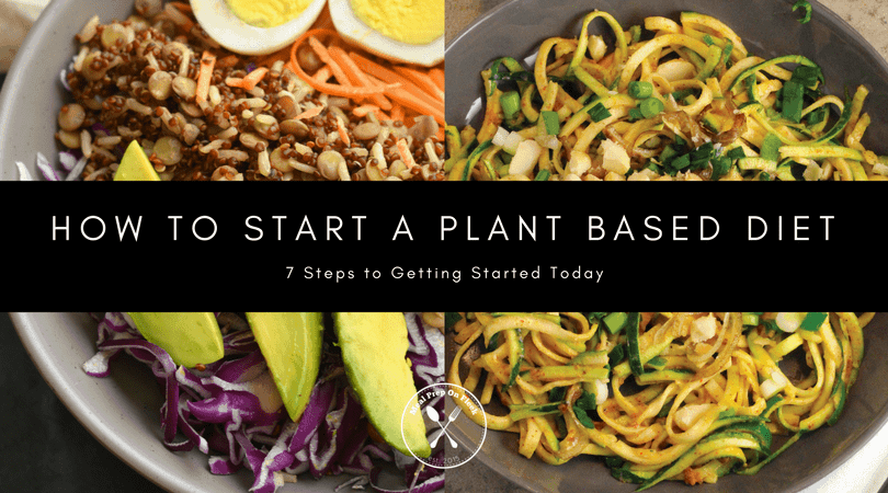 HOW TO START A PLANT BASED DIET