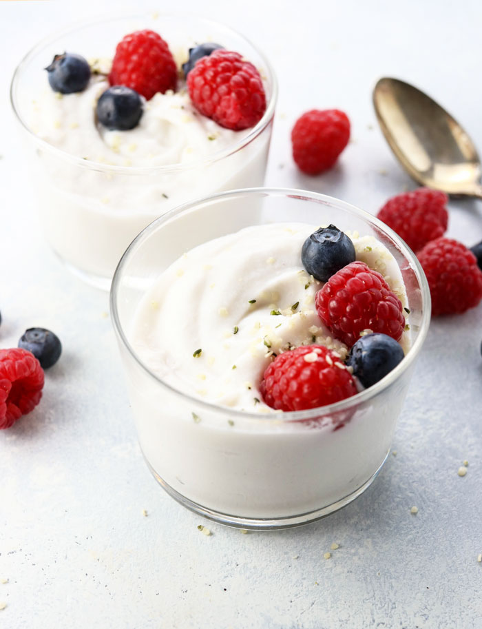 Fermented foods - yogurt