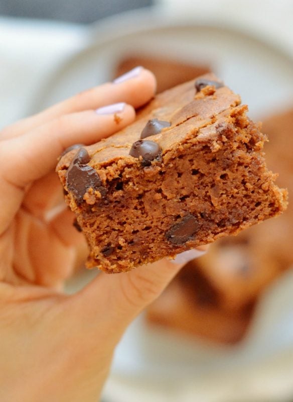 Dark Chocolate Gingerbread Spice Pumpkin Bars