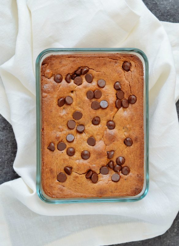 Dark Chocolate Gingerbread Spice Pumpkin Bars