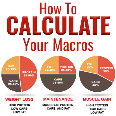 macro calculator bodybuilding with pounds