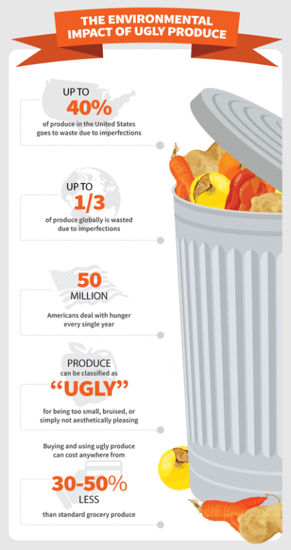 environmental-impact-of-food-waste