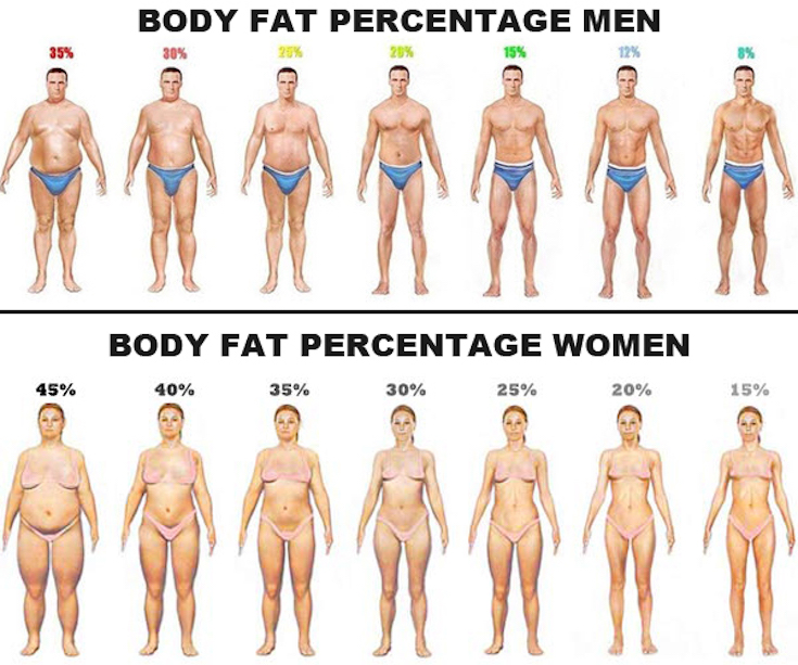How to Use a Body Fat Percentage Calculator
