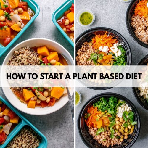 HOW TO START A PLANT BASED DIET